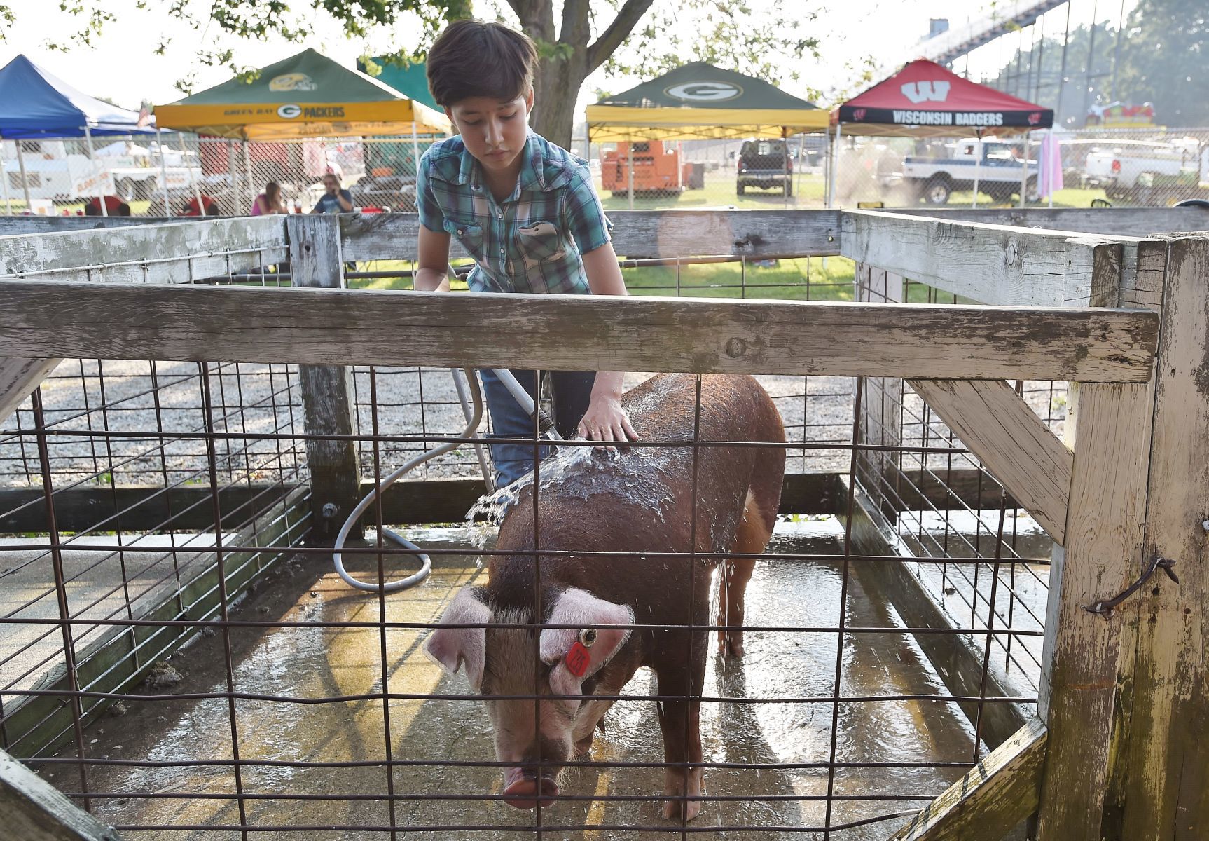 Racine County Fair 2019